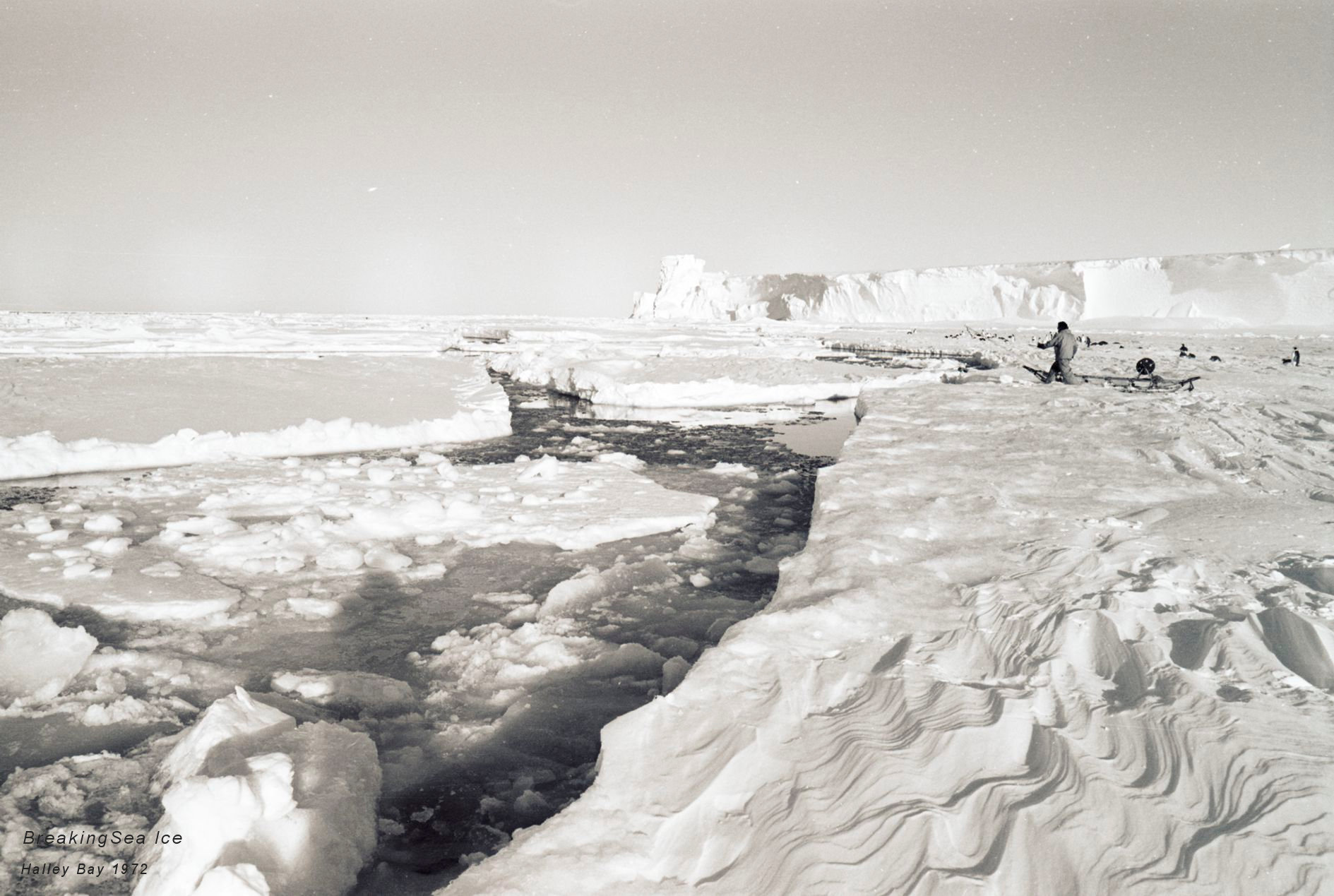 Breaking Sea Ice (1)